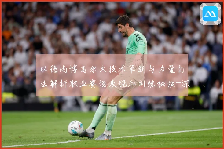 以德尚博高尔夫技术革新与力量打法解析职业赛场表现和训练秘诀-深度解析